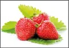 Wallario Wandbild Frische rote Erdbeeren für die Küche, Produktbild-Vorschau 1
