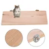 Plateforme hamster, Plateforme hamster jouet, Plateforme Voir les images du produit 4