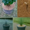 A collage of images showing a plant pot with a coconut disc cover, a close-up of coconut fiber, and two images of a plant in a pot. Produktbild-Vorschau