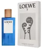 Loewe 7 Pour Homme Eau de Toilette, 100ml Voir les images du produit 11