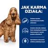 A dog is shown next to marketing text explaining how the food works. Produktbild-Vorschau