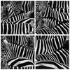 Bild auf Leinwand - Leinwandbild - Tiere Zebra Streifen - Produktbild-Vorschau 8