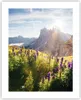 Poster - Poster ohne Rahmen - Berge Wiese Blumen - 40x50 cm Produktbild-Vorschau 1