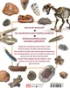 Fossilien Produktbild-Vorschau 2