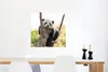 MuchoWow® Poster Panda - Baum - Licht 50x50 cm - Produktbild-Vorschau 5