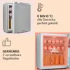 A collage of images showcasing a mini refrigerator, its features, and internal capacity. Produktbild-Vorschau