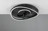 Ventilateur de plafond avec lampe LED et télécommande, noir Voir les images du produit 2