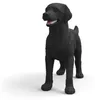 schleich 14923, 3 rok / roky, Čierna, Plast Náhľad obrázku produktu 3
