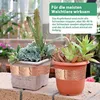 Schneckenschutz Kupferband gegen Schnecken Selbstklebend- Produktbild-Vorschau 5