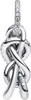 A close-up studio shot of a silver Pandora charm. Anteprima dell’immagine prodotto