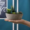T4U pianta artificiale succulenta verde set di 2 con vaso Anteprima dell’immagine prodotto 6