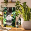 LECHUZA Výsadbový substrát PON 18L Náhľad obrázku produktu 18