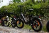 48V 15Ah E-Bike Softtail-Federung 7-Gang Getriebe 20 *4.0" Produktbild-Vorschau 7