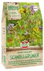 Artikelbild 2 von 'Bodenkur Schnellgrüner (450 g)' aus der Kategorie Gründünger & -düngung Produktbild-Vorschau