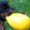 fetch toys œuf 30 cm jaune Voir les images du produit 3