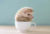 Muralo XXL Selbstklebende FOTOTAPETE Wei§er IGEL Tasse Produktbild-Vorschau 2