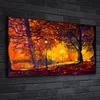 Coloray Canvas 140x70  Wandbild Leinwand Bilder park bunte Produktbild-Vorschau 2