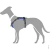 Hunter DIVO Hundegeschirr, M, 56-73 cm, dunkelblau/grau Produktbild-Vorschau 12