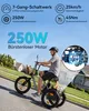 20" Fat Tire E-Bike Dreirad Klappbar, Elektro Lastenfahrrad Produktbild-Vorschau 2