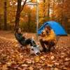 Kit de accesorios unho Zeltofen: chimenea con codo, cepillo Vista previa de la imagen del producto 6