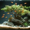Kruger Meier Amber Glow Quartz 2–3,5 mm – Ghiaia per Anteprima dell’immagine prodotto 4
