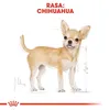 Royal Canin Chihuahua Adult 1,5kg Voir les images du produit 7
