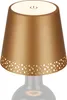 Lampe LED rechargeable en forme de bouteille, dor  mat, 1 Voir les images du produit 8