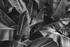 Coloray Fototapete 208x146 cm Vlies-Fototapete - Tropic Produktbild-Vorschau 2