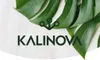 A logo and brand name are displayed over a background of green leaves and a light-colored surface. Produktbild-Vorschau