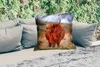 MuchoWow® Outdoor Kissen - Schottische Hochlandrind - Gras Produktbild-Vorschau 2