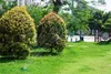 Zraszacz ogrodowy wahadłowy 281357 Podgląd zdjęcia produktu 7