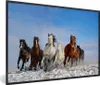 MuchoWow® MuchoWow® Gerahmtes Poster Galoppierende Pferde Produktbild-Vorschau 1