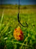 LK Baits CUC! Uvetta 50g Gusto Anteprima dell’immagine prodotto 4