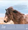Never give up! Postkartenkalender 2027 - Durchhalten. Denn Produktbild-Vorschau 16
