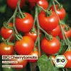 Samenliebe  Tomate Samen | Cherrytomate Zuckertraube - sehr Produktbild-Vorschau 4
