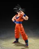 Dragon Ball Z S.H.Figuarts Akčná figúrka Son Goku Náhľad obrázku produktu 10