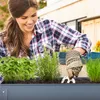 Relaxdays Hochbeet Metall, schmales Kräuterbeet, für Produktbild-Vorschau 3