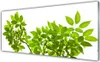 Acrylglasbilder 125x50 Wandbild Druck Zweige Blätter Produktbild-Vorschau 1