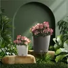 Two flower pots with pink flowers are placed on rocks in a lush green garden setting with an arched backdrop. Náhled obrázku produktu