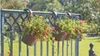Blumentopf Artevasi 639343 Anthrazit Dunkelgrau Kunststoff Produktbild-Vorschau 6