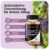 Asbirg Schwarzkümmelöl + OPC + Herbal Gummies Bundle – Produktbild-Vorschau 4