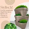 A stack of three brown planters filled with green plants, with text overlay and a decorative arch graphic. Produktbild-Vorschau