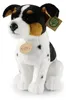 Peluche Jack Russell Terrier 29 Cm Ecologico Anteprima dell’immagine prodotto 1