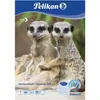 10 Blatt je Block Zeichenblock Pelikan A4, 4Block Produktbild-Vorschau 10