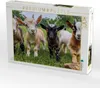 CALVENDO Puzzle Ziegen | 1000 Teile Lege-Größe 64x48cm Produktbild-Vorschau 2