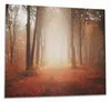 Wallario Herdabdeckplatte aus Glas, Größe 60 x 52 cm Produktbild-Vorschau 1