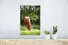 MuchoWow® Poster Pferd - Blumen - Licht 20x30 cm - Produktbild-Vorschau 5