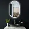 HOKO Badspiegel LED Anti-fog Wandspiegel Oval 60x100 cm+LED Produktbild-Vorschau 14