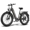 Pedelec mit großem 960 Wh 48 V 20 Ah Akku für lange Touren Produktbild-Vorschau 2