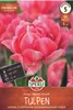 SPERLI Premium Gefüllte Frühe Tulpe Foxtrot Tulipa hybrids Produktbild-Vorschau 3